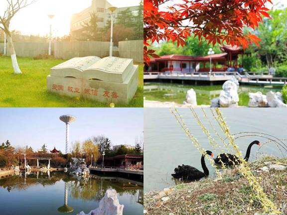 tmp_a95bf637a9beb37d1fff67f2d0a5d403